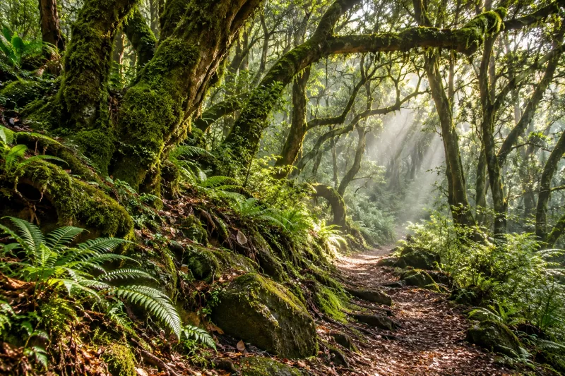 La Gomera